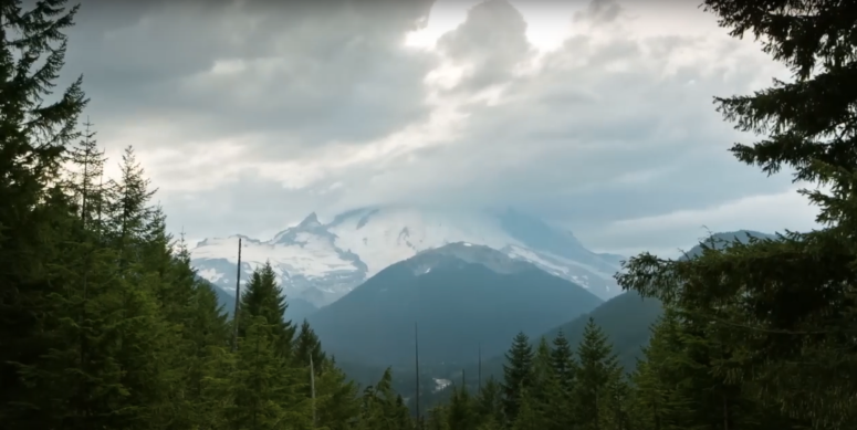 The Story of Sierra Nevada Brewing Co.