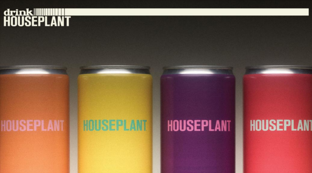 House Plant