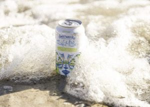 Sweetwater SALT LIFE
